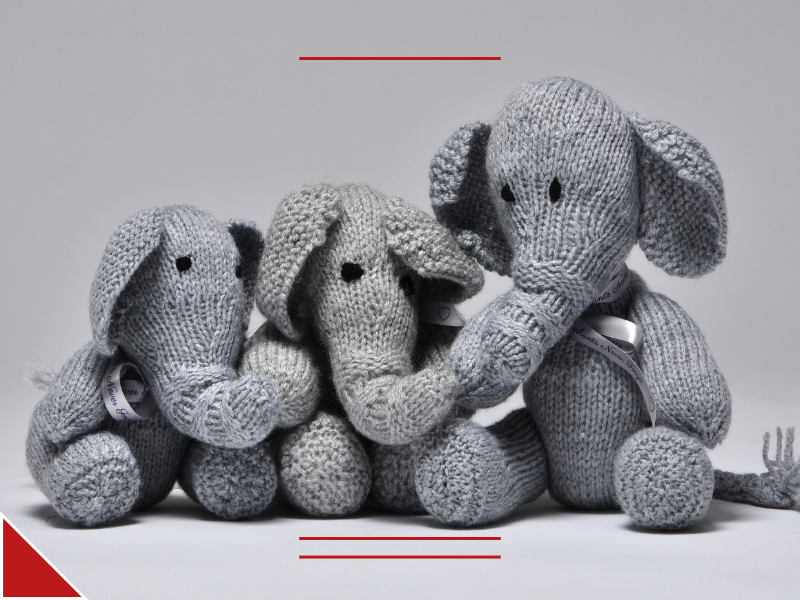 Elephant family